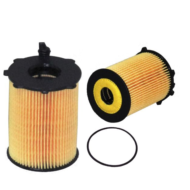 EO TE 12548 resmi