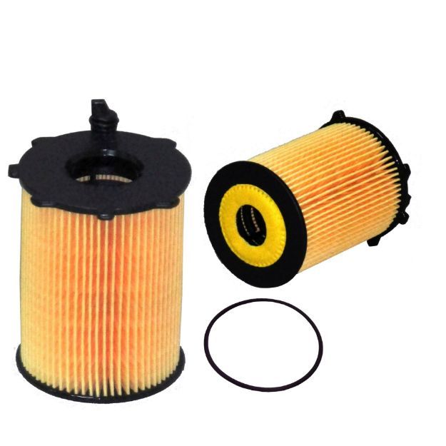 EO TE 11513 resmi